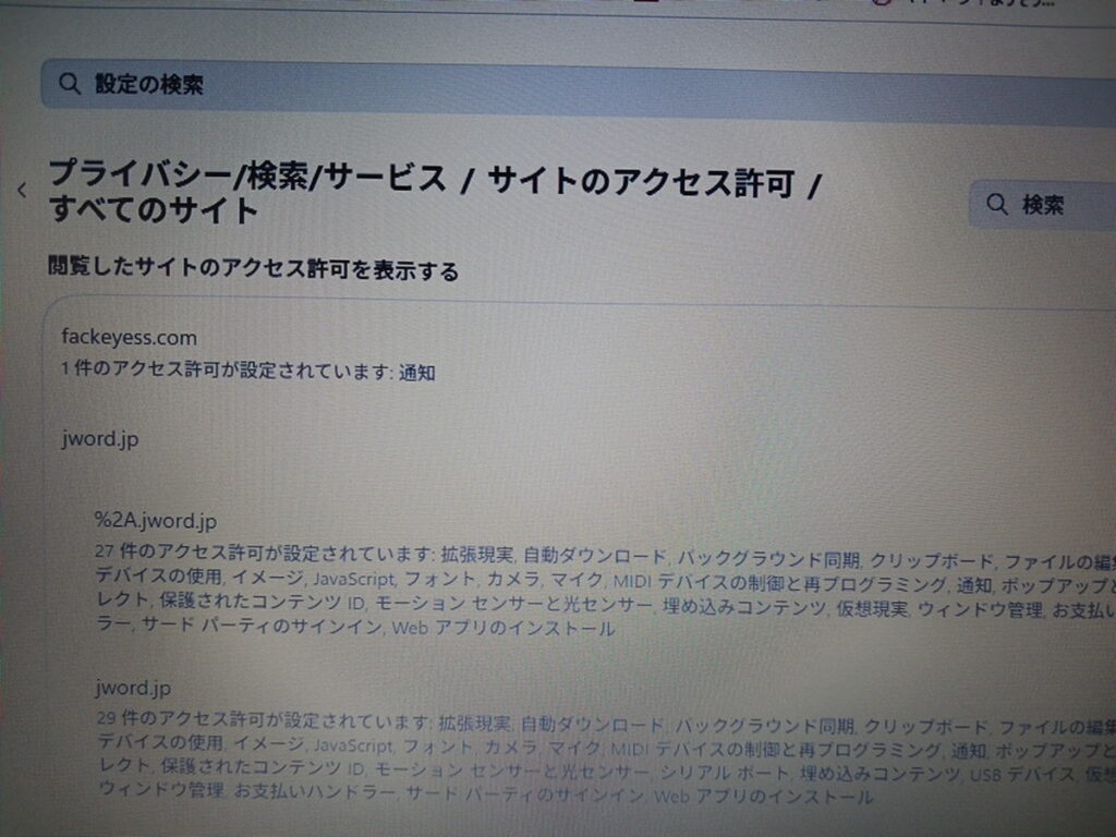 Microsoft Edge のサイトアクセス許可一覧で不審なドメインを確認 早川スタイル